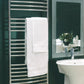 Amba DCP Amba Jeeves Model D Curved 20 Bar Hardwired Towel Warmer in Polished - DCP