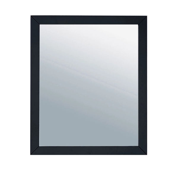 Laviva 313FF-2430E Laviva Sterling 24 Framed Rectangular Espresso Mirror 313FF-2430E