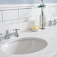 PALACE 60"W x 34"H Pure White Vanity with Carrara Quartz Countertop + Faucets (F2-0009), Chrome Finish Hardware