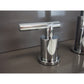 Ratel RA-1797CR Ratel 8" Widespread 2-Handle Bathroom Faucet in Chrome (RA-1797CR)